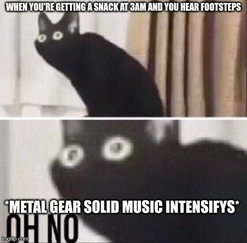 stealth | WHEN YOU'RE GETTING A SNACK AT 3AM AND YOU HEAR FOOTSTEPS; *METAL GEAR SOLID MUSIC INTENSIFYS* | image tagged in oh no cat,idk,oh wow are you actually reading these tags,stop reading the tags | made w/ Imgflip meme maker