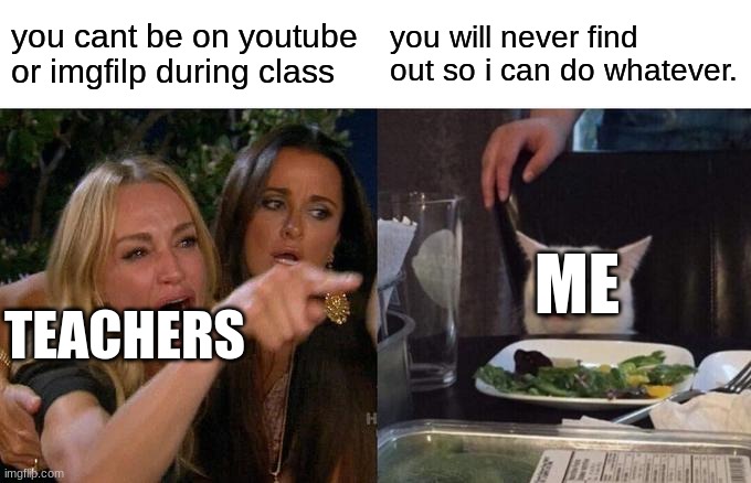 i have a personal and school computer i bring to school and am th all A's student so this is basically me. | you cant be on youtube or imgfilp during class; you will never find out so i can do whatever. ME; TEACHERS | image tagged in memes,woman yelling at cat,school,funny,students,imgflip | made w/ Imgflip meme maker