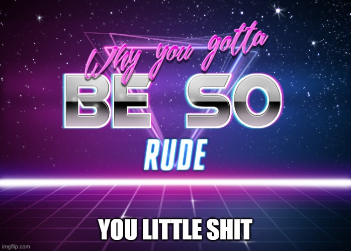 YOU LITTLE SHIT | image tagged in why you gotta be so rude | made w/ Imgflip meme maker