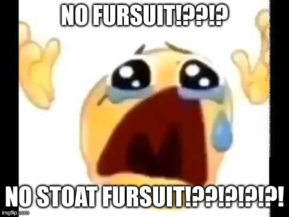 cursed crying emoji | NO FURSUIT!??!? NO STOAT FURSUIT!??!?!?!?! | image tagged in cursed crying emoji | made w/ Imgflip meme maker