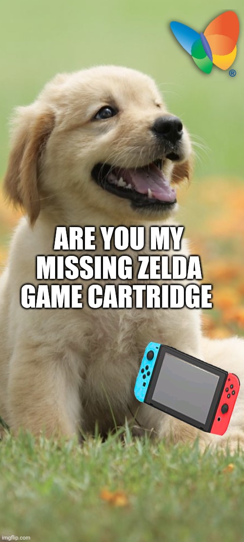 ARE YOU MY MISSING ZELDA GAME CARTRIDGE | image tagged in dogs | made w/ Imgflip meme maker