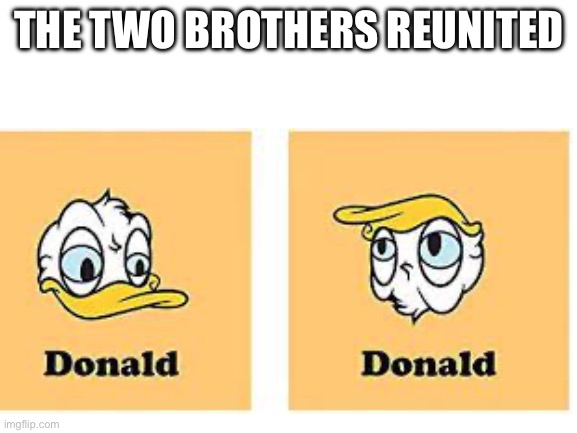 Donald Duck Donald Trump | THE TWO BROTHERS REUNITED | image tagged in blank white template | made w/ Imgflip meme maker