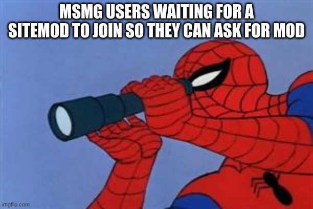 Spiderman binoculars | MSMG USERS WAITING FOR A SITEMOD TO JOIN SO THEY CAN ASK FOR MOD | image tagged in spiderman binoculars | made w/ Imgflip meme maker