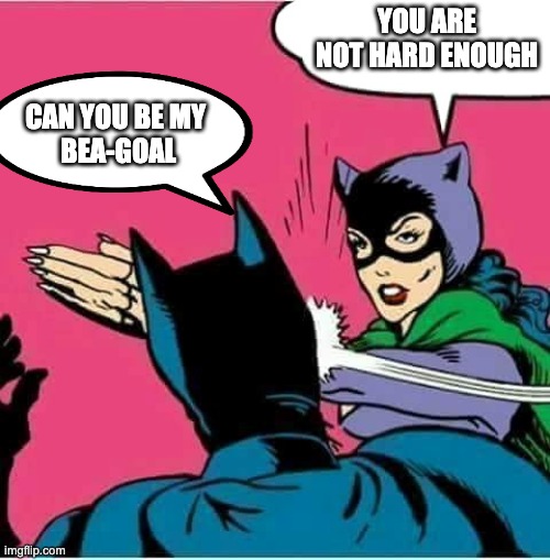 bagel | YOU ARE NOT HARD ENOUGH; CAN YOU BE MY 
BEA-GOAL | image tagged in catwoman slaps batman | made w/ Imgflip meme maker