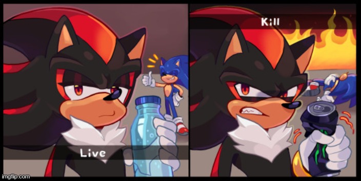 shadow live kill | image tagged in shadow live kill | made w/ Imgflip meme maker