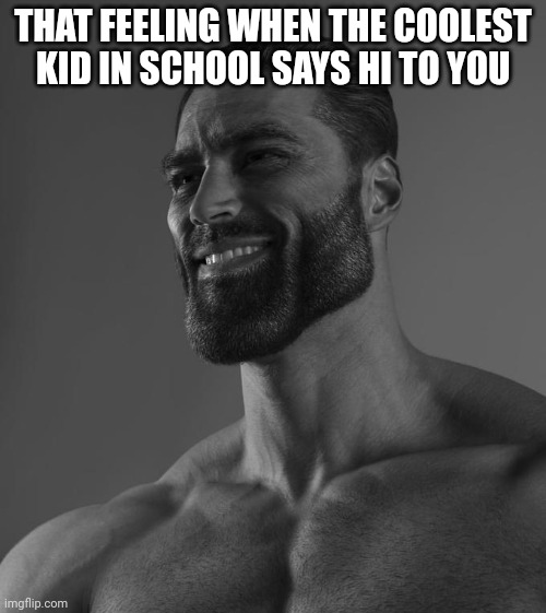 so true | THAT FEELING WHEN THE COOLEST KID IN SCHOOL SAYS HI TO YOU | image tagged in sigma male,cool kids,class,school | made w/ Imgflip meme maker