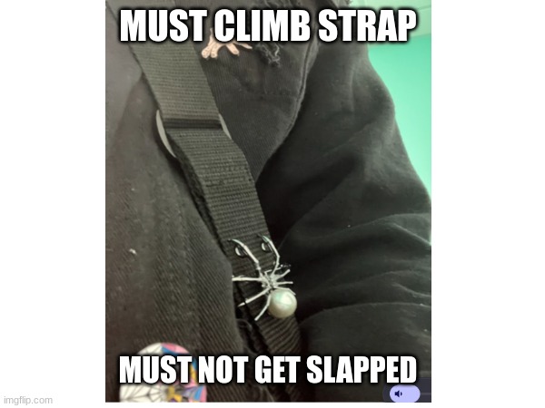 Strap or Slap | MUST CLIMB STRAP; MUST NOT GET SLAPPED | image tagged in spider,inspirational,funny | made w/ Imgflip meme maker