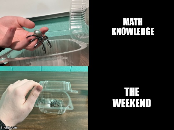 Math vs The Weekend | MATH KNOWLEDGE; THE WEEKEND | image tagged in math,spider,relatable,it's a trap | made w/ Imgflip meme maker