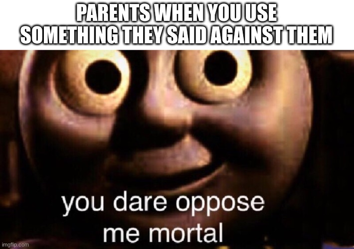 It thens becomes a invalid point | PARENTS WHEN YOU USE SOMETHING THEY SAID AGAINST THEM | image tagged in you dare oppose me mortal | made w/ Imgflip meme maker