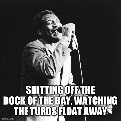 SHITTING OFF THE DOCK OF THE BAY, WATCHING THE TURDS FLOAT AWAY | made w/ Imgflip meme maker