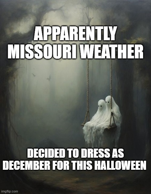 Halloween weather | APPARENTLY MISSOURI WEATHER; DECIDED TO DRESS AS DECEMBER FOR THIS HALLOWEEN | image tagged in halloween missouri weather | made w/ Imgflip meme maker