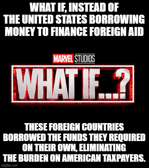 Cut out the middle man. | WHAT IF, INSTEAD OF THE UNITED STATES BORROWING MONEY TO FINANCE FOREIGN AID; THESE FOREIGN COUNTRIES BORROWED THE FUNDS THEY REQUIRED ON THEIR OWN, ELIMINATING THE BURDEN ON AMERICAN TAXPAYERS. | image tagged in what if | made w/ Imgflip meme maker