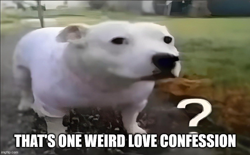 Huh Dog | THAT'S ONE WEIRD LOVE CONFESSION | image tagged in huh dog | made w/ Imgflip meme maker