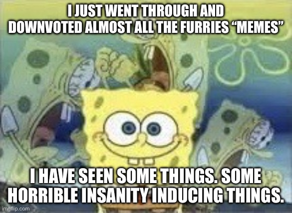 :l | I JUST WENT THROUGH AND DOWNVOTED ALMOST ALL THE FURRIES “MEMES”; I HAVE SEEN SOME THINGS. SOME HORRIBLE INSANITY INDUCING THINGS. | image tagged in spongebob internal screaming | made w/ Imgflip meme maker