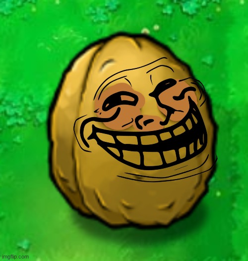 Wall-Nut | image tagged in wall-nut | made w/ Imgflip meme maker