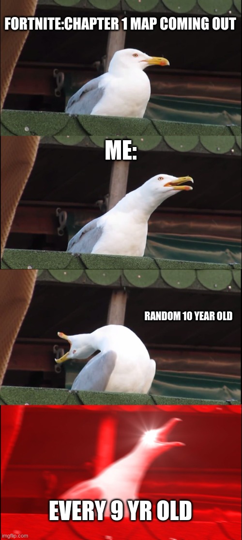 Inhaling Seagull Meme | FORTNITE:CHAPTER 1 MAP COMING OUT; ME:; RANDOM 10 YEAR OLD; EVERY 9 YR OLD | image tagged in memes,inhaling seagull | made w/ Imgflip meme maker