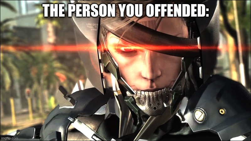 Metal Gear Raiden angry | THE PERSON YOU OFFENDED: | image tagged in metal gear raiden angry | made w/ Imgflip meme maker
