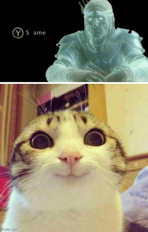 image tagged in same,memes,smiling cat | made w/ Imgflip meme maker