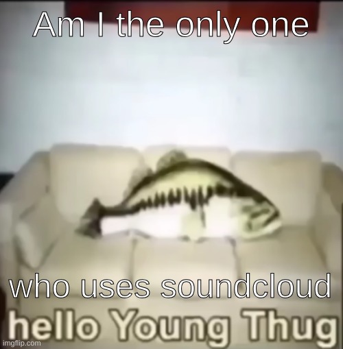 Hello Young Thug | Am I the only one; who uses soundcloud | image tagged in hello young thug | made w/ Imgflip meme maker