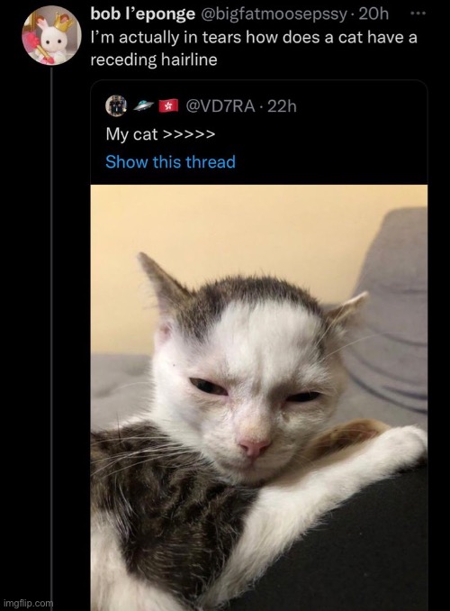 this is the background image of my ipad home screen | made w/ Imgflip meme maker