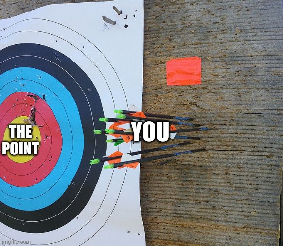Obtuse | YOU; THE POINT | image tagged in missed the target | made w/ Imgflip meme maker