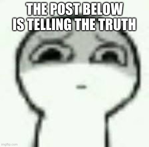 Look down | THE POST BELOW IS TELLING THE TRUTH | image tagged in look down | made w/ Imgflip meme maker