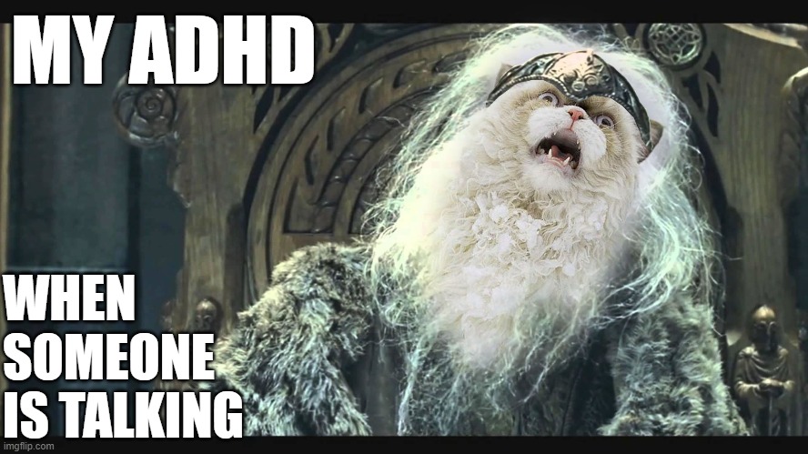 ADHD You have no power here - Cat Theoden | MY ADHD; WHEN
SOMEONE
IS TALKING | image tagged in power,theoden,cat,adhd,lotr,lord | made w/ Imgflip meme maker