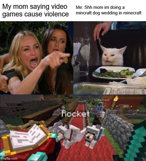 This is why people who say video games cause violence is wrong | My mom saying video games cause violence; Me: Shh mom im doing a mincraft dog wedding in minecraft | image tagged in memes,woman yelling at cat | made w/ Imgflip meme maker