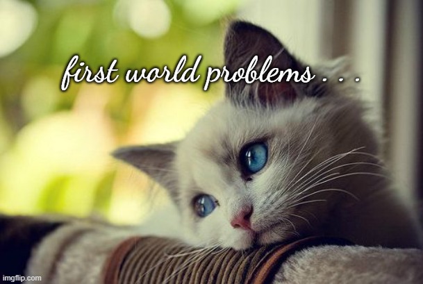 First World Problems Cat Meme | first world problems . . . | image tagged in memes,first world problems cat | made w/ Imgflip meme maker