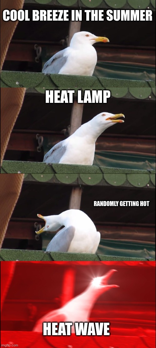 ahhhhhhhhhhhhhhhhhhhhhhhhhhhhhhhhh | COOL BREEZE IN THE SUMMER; HEAT LAMP; RANDOMLY GETTING HOT; HEAT WAVE | image tagged in memes,inhaling seagull,funny,fun | made w/ Imgflip meme maker