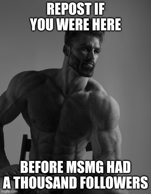 Giga Chad | REPOST IF YOU WERE HERE; BEFORE MSMG HAD A THOUSAND FOLLOWERS | image tagged in giga chad | made w/ Imgflip meme maker