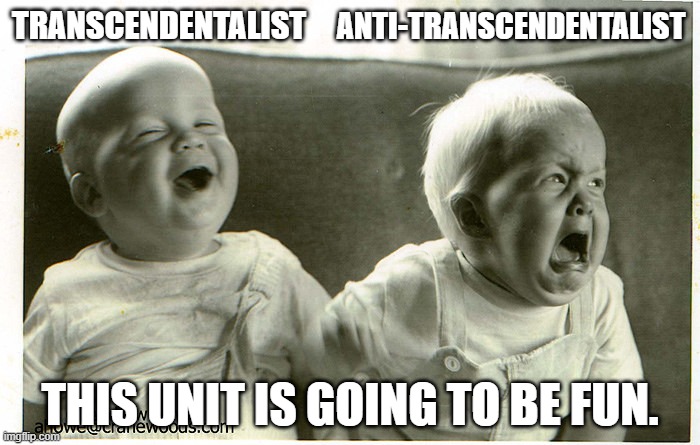 Opposite baby | ANTI-TRANSCENDENTALIST; TRANSCENDENTALIST; THIS UNIT IS GOING TO BE FUN. | image tagged in opposite baby,english teachers | made w/ Imgflip meme maker
