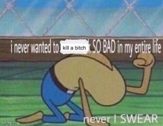 i never wanted to kill a bitch so bad in my entire life | image tagged in i never wanted to kill a bitch so bad in my entire life | made w/ Imgflip meme maker