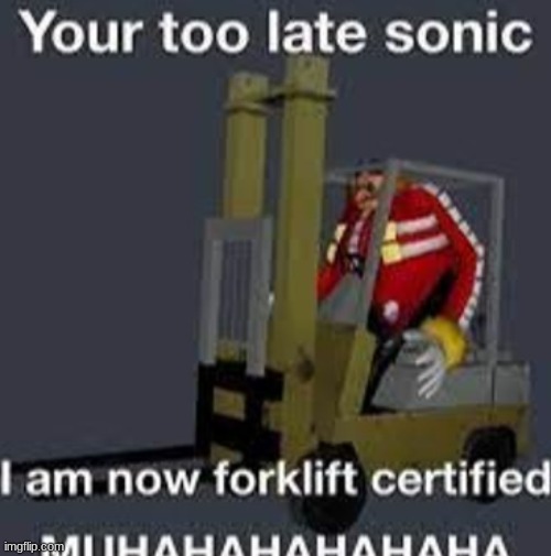 Your too late sonic | image tagged in your too late sonic | made w/ Imgflip meme maker