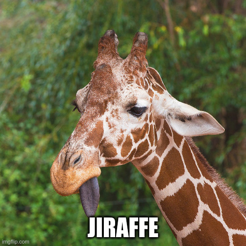 jiraffe