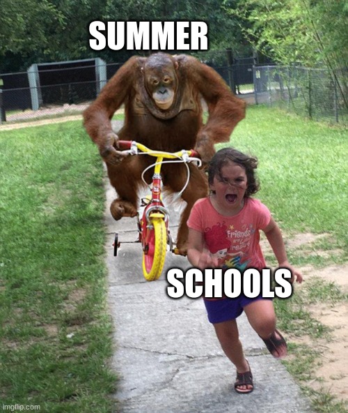schol | SUMMER; SCHOOLS | image tagged in orangutan chasing girl on a tricycle | made w/ Imgflip meme maker
