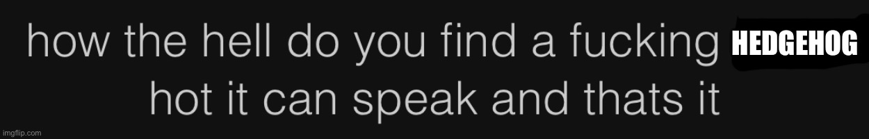 HEDGEHOG | made w/ Imgflip meme maker