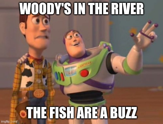 X, X Everywhere | WOODY'S IN THE RIVER; THE FISH ARE A BUZZ | image tagged in x x everywhere | made w/ Imgflip meme maker