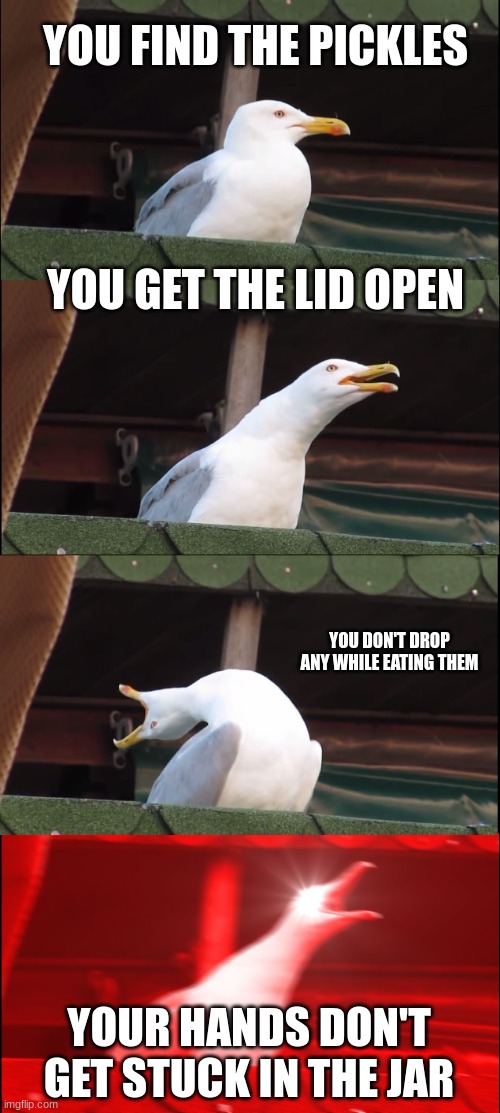 Inhaling Seagull Meme | YOU FIND THE PICKLES; YOU GET THE LID OPEN; YOU DON'T DROP ANY WHILE EATING THEM; YOUR HANDS DON'T GET STUCK IN THE JAR | image tagged in memes,inhaling seagull | made w/ Imgflip meme maker