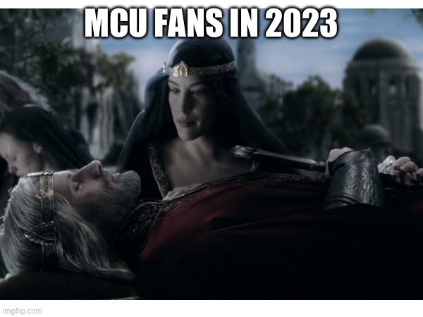 MCU fans in 2023 | MCU FANS IN 2023 | image tagged in mcu,lotr | made w/ Imgflip meme maker