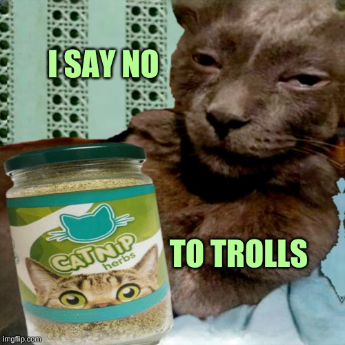 Shit Poster 4 Lyfe | I SAY NO TO TROLLS | image tagged in ship osta 4 lyfe,troll,cat,10cat,good vibes,catnip | made w/ Imgflip meme maker