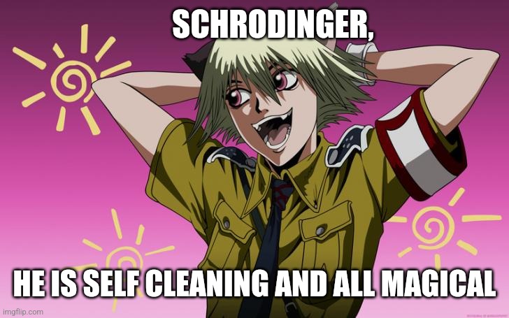 Schrodinger | SCHRODINGER, HE IS SELF CLEANING AND ALL MAGICAL | image tagged in hellsing | made w/ Imgflip meme maker