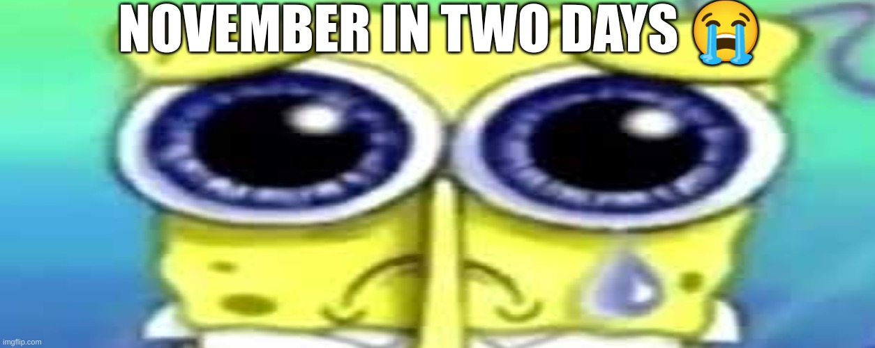 Sad Spong | NOVEMBER IN TWO DAYS 😭 | image tagged in sad spong | made w/ Imgflip meme maker