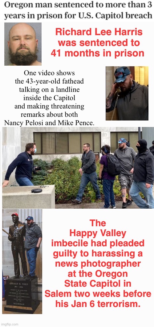 Valley of the Dulls | image tagged in domestic terrorists,treason,tuff fathead when in crowd,assault,statue of his limitations | made w/ Imgflip meme maker