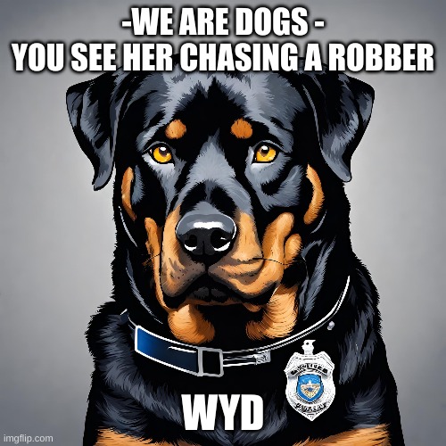Zoe (chose a dog breed and a name we're dogs that can talk but human can't heard but they are there) | -WE ARE DOGS -
YOU SEE HER CHASING A ROBBER; WYD | image tagged in roleplaying,dogs | made w/ Imgflip meme maker