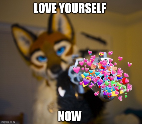 (For those who don’t know me, I am just a person who makes wholesome memes, I am not a furry) | LOVE YOURSELF; NOW | image tagged in furry with gun,wholesome | made w/ Imgflip meme maker