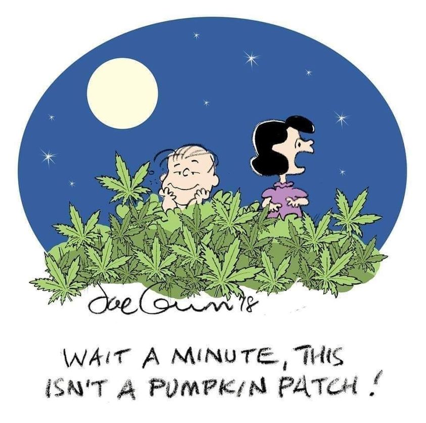 pumpkin patch Blank Meme Template
