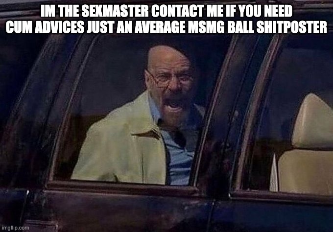 Walter White screaming at Hank | IM THE SEXMASTER CONTACT ME IF YOU NEED CUM ADVICES JUST AN AVERAGE MSMG BALL SHITPOSTER | image tagged in walter white screaming at hank | made w/ Imgflip meme maker