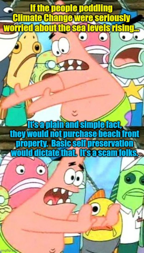 Put It Somewhere Else Patrick | If the people peddling Climate Change were seriously worried about the sea levels rising... It's a plain and simple fact, they would not purchase beach front property.  Basic self preservation would dictate that.  It's a scam folks. | image tagged in memes,put it somewhere else patrick | made w/ Imgflip meme maker