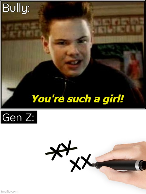 Bully:; You're such a girl! Gen Z:; XY; XX | image tagged in funny,gender identity,bully,gen z | made w/ Imgflip meme maker